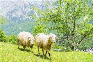 Albania weather forecast