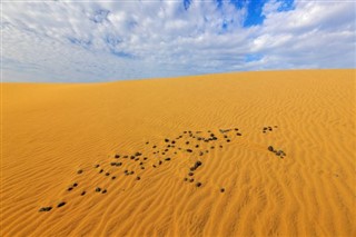 Algeria weather forecast