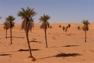 Algeria weather forecast