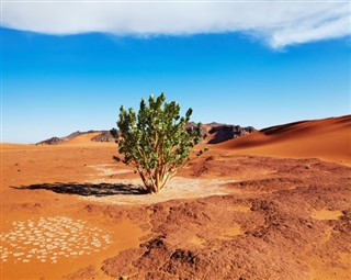 Algeria weather forecast