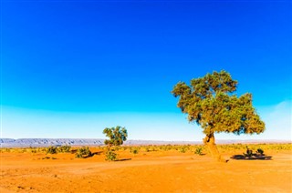 Algeria weather forecast