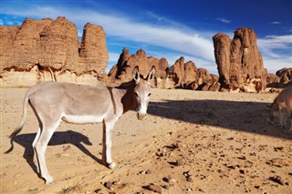 Algeria weather forecast