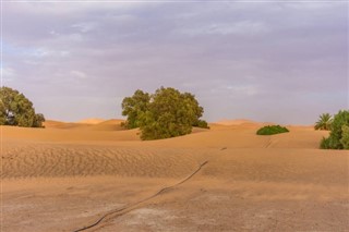 Algeria weather forecast