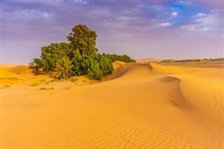 Algeria weather forecast