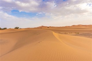 Algeria weather forecast