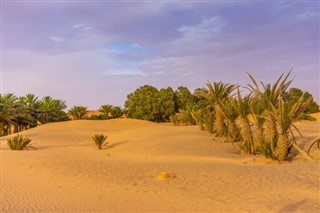 Algeria weather forecast