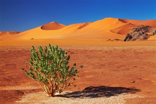 Algeria weather forecast