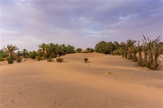 Algeria weather forecast