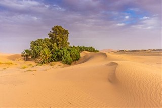 Algeria weather forecast