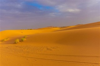 Algeria weather forecast