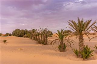 Algeria weather forecast