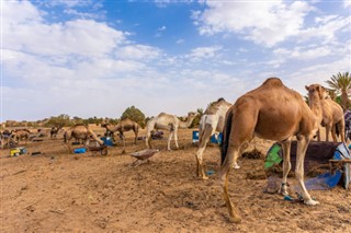 Algeria weather forecast