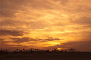 Algeria weather forecast