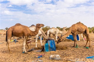 Algeria weather forecast