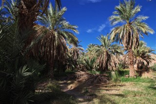 Algeria weather forecast