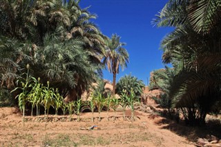 Algeria weather forecast