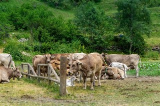 Andorra weather forecast