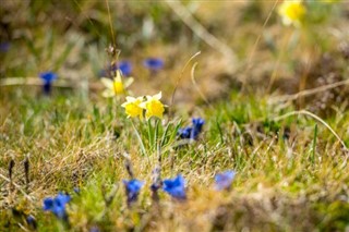 Andorra weather forecast