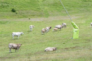 Andorra weather forecast