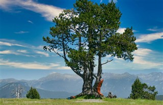 Andorra weather forecast