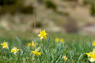 Andorra weather forecast