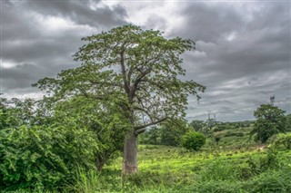 Angola weather forecast