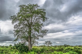 Angola weather forecast