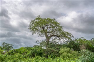 Angola prognoza pogody