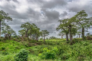 Angola weather forecast