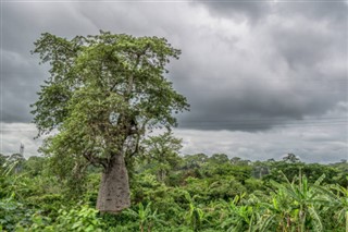 Angola weather forecast