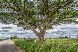 Angola weather forecast