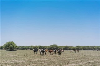 Angola vremenska prognoza