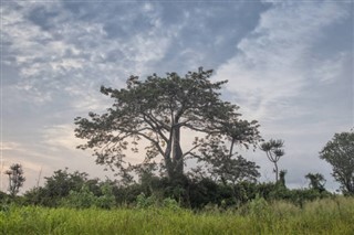 Angola weather forecast