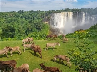 Angola weather forecast