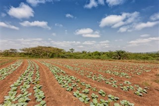 Angola vremenska prognoza