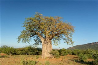 Angola prognoza pogody