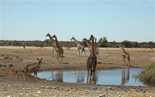 Angola weather forecast