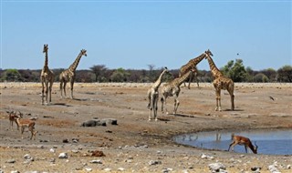 Angola vremenska prognoza