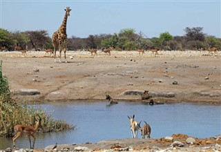 Angola weather forecast