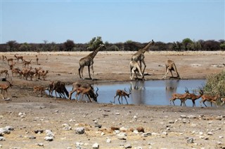 Angola weather forecast