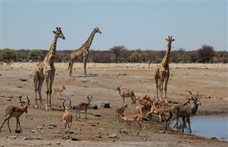 Angola weather forecast