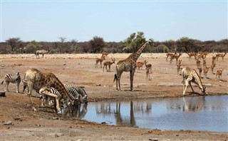 Angola weather forecast