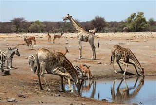 Angola vremenska prognoza