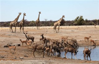 Angola weather forecast