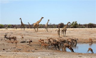 Angola weather forecast