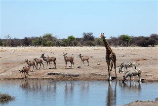 Angola weather forecast