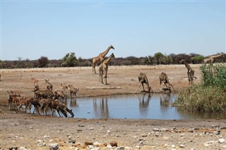 Angola prognoza pogody