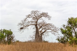 Angola pronóstico del tiempo