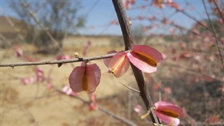 Angola weather forecast