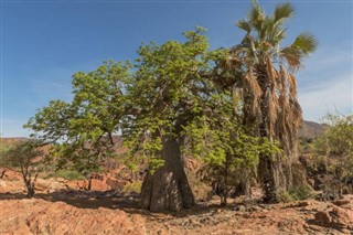 Angola weather forecast